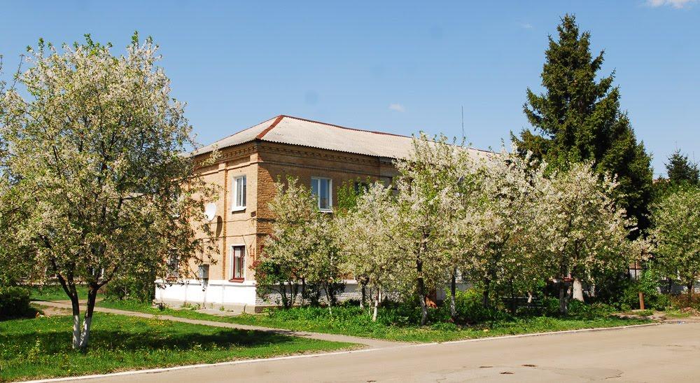Узин з panoramio.com - Узин