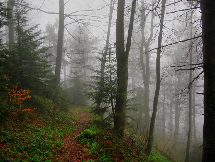 Карпатське з panoramio.com - Карпатське