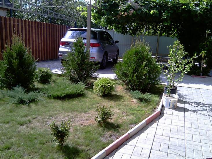 Данилівка з panoramio.com - Даниловка