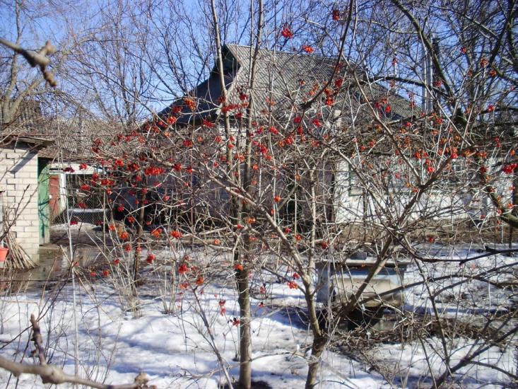 Котовка з panoramio.com - Котовка