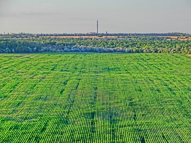 Головківка з panoramio.com - Головковка