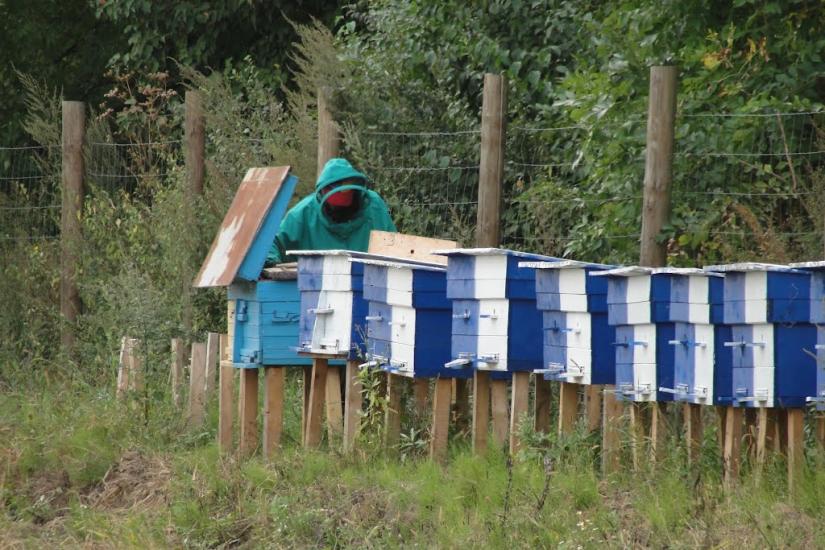 Гать з panoramio.com - Гать