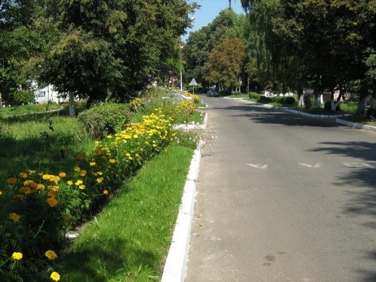 Сокаль з panoramio.com - Сокаль