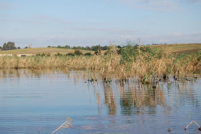 Боремель з panoramio.com - Боремель