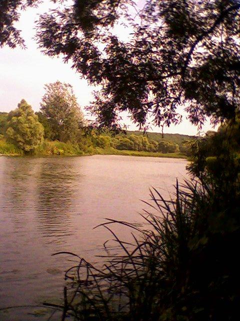 Приліпка з panoramio.com - Прилипка