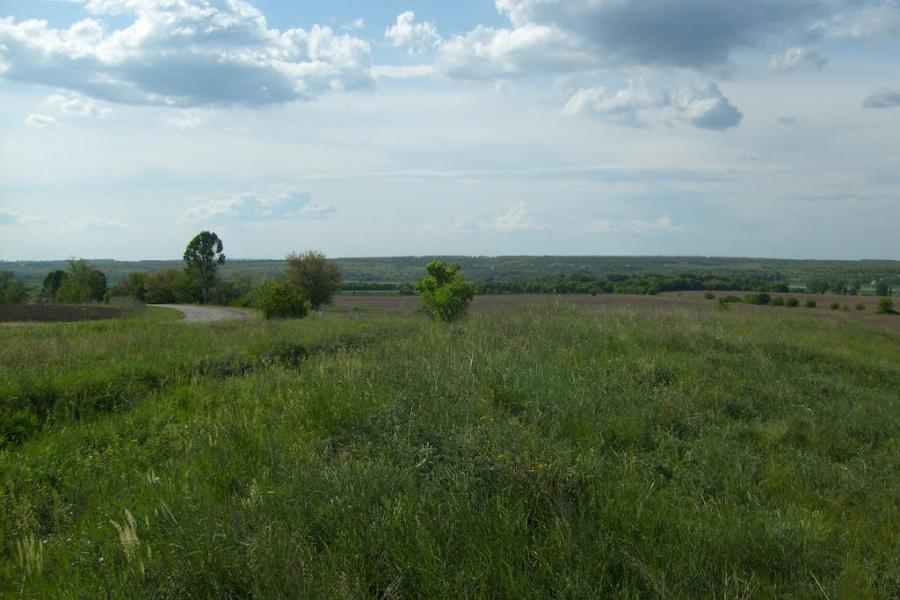 Юльївка з panoramio.com - Yulyivka