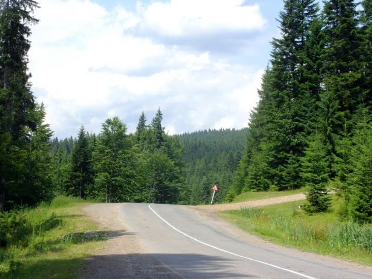 Кривопілля з panoramio.com - Kryvopillya
