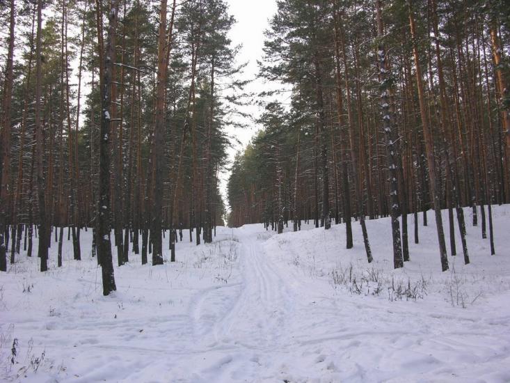 Крейдянка з panoramio.com - Крейдянка