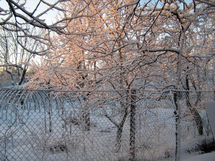 Нова Березівка з panoramio.com - Нова Березівка