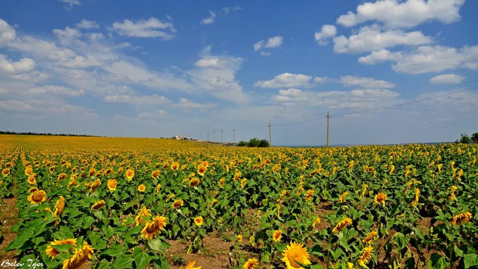 Болгарка з panoramio.com - Болгарка