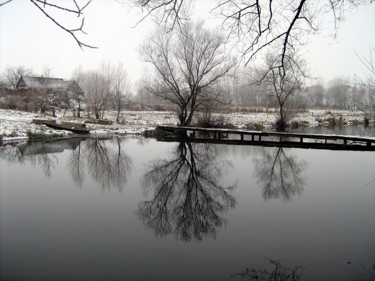 Лука з panoramio.com - Лука