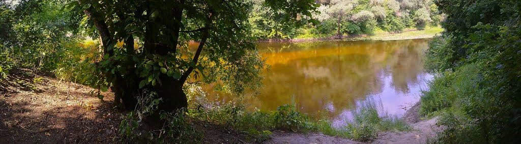Приліпка з panoramio.com - Прилипка