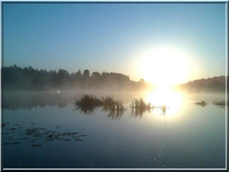 Макове з panoramio.com - Макове