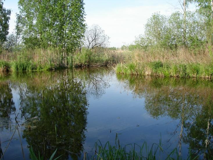 Старосілля з panoramio.com - Староселье