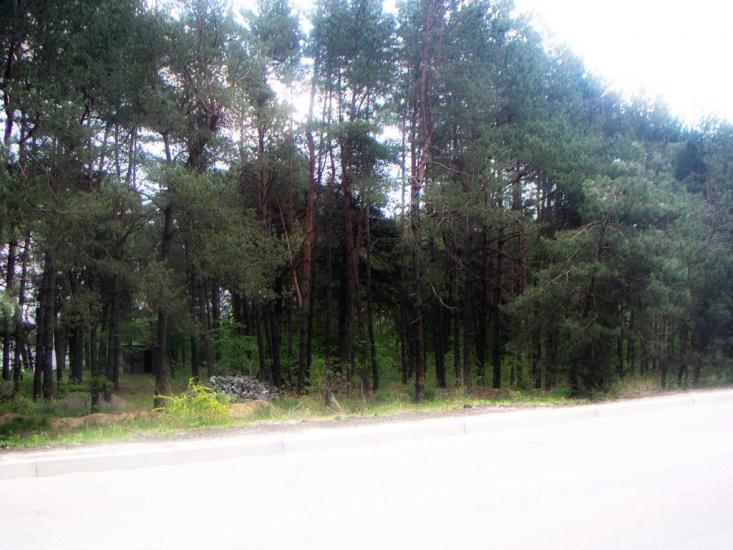 Плюти з panoramio.com - Плюты