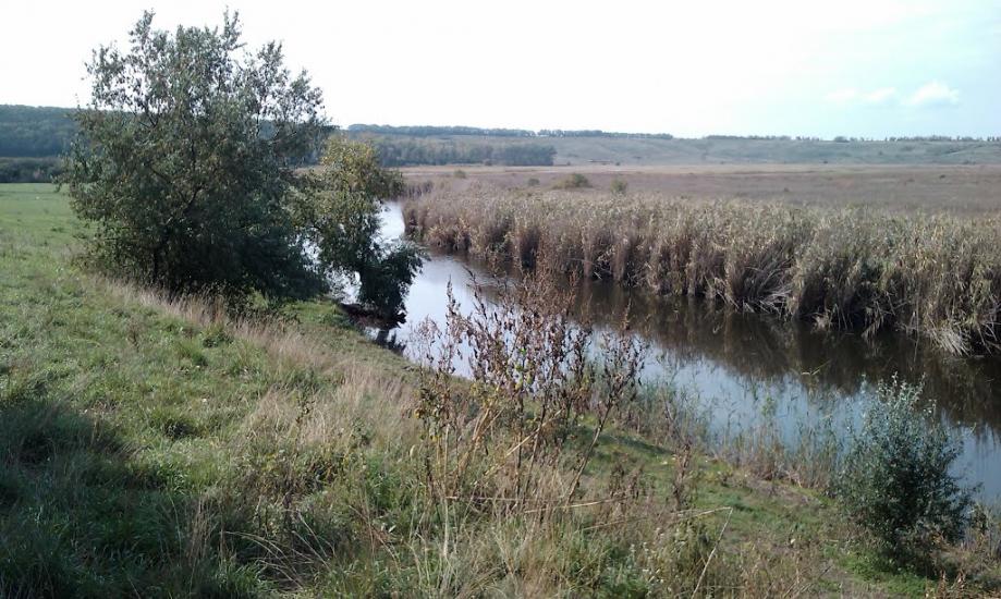 Крутоярівка з panoramio.com - Крутоярівка