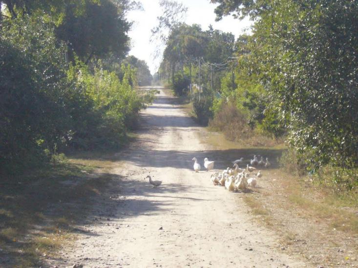 Рогачі з panoramio.com - Рогачи