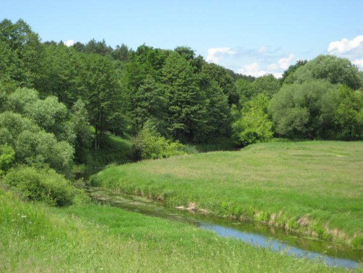 Озерне з panoramio.com - Озерне