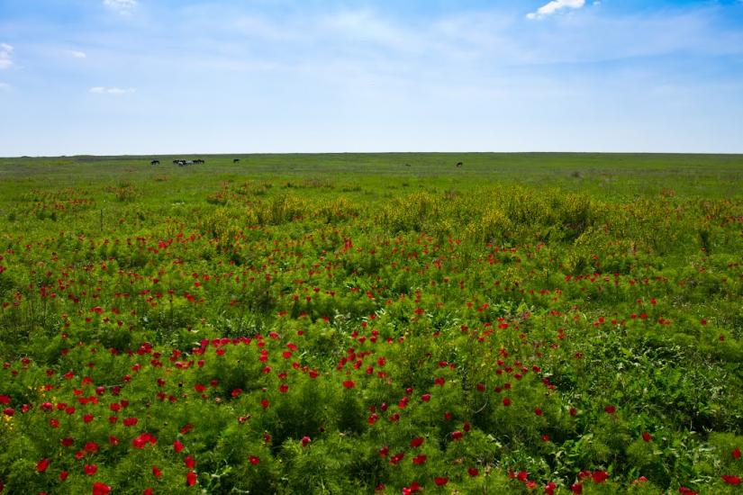 Самсонове з panoramio.com - Самсоново