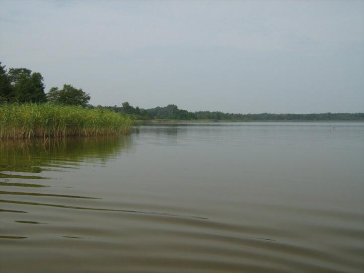 Згорани з panoramio.com - Згораны