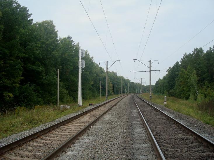 Цвітоха з panoramio.com - Цветоха