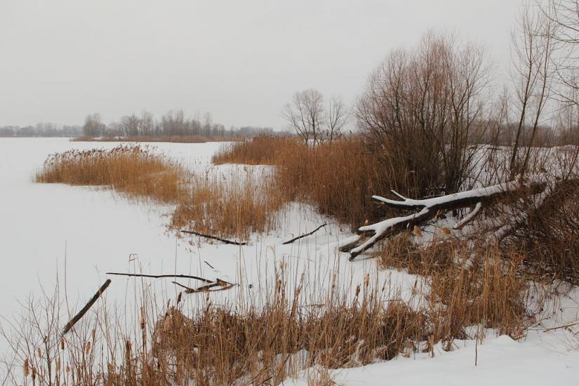 Черемушне з panoramio.com - Cheremushne