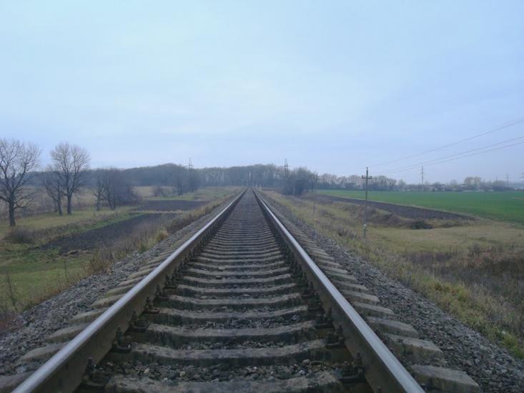 Радісне з panoramio.com - Радостное