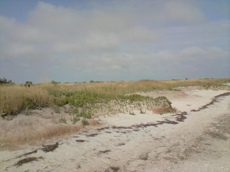 Круглоозерка з panoramio.com - Круглоозерка