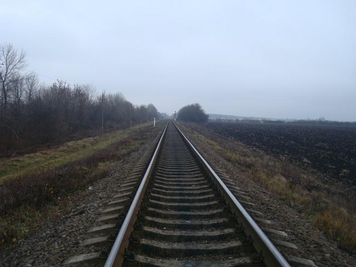 Воронківці з panoramio.com - Воронковцы