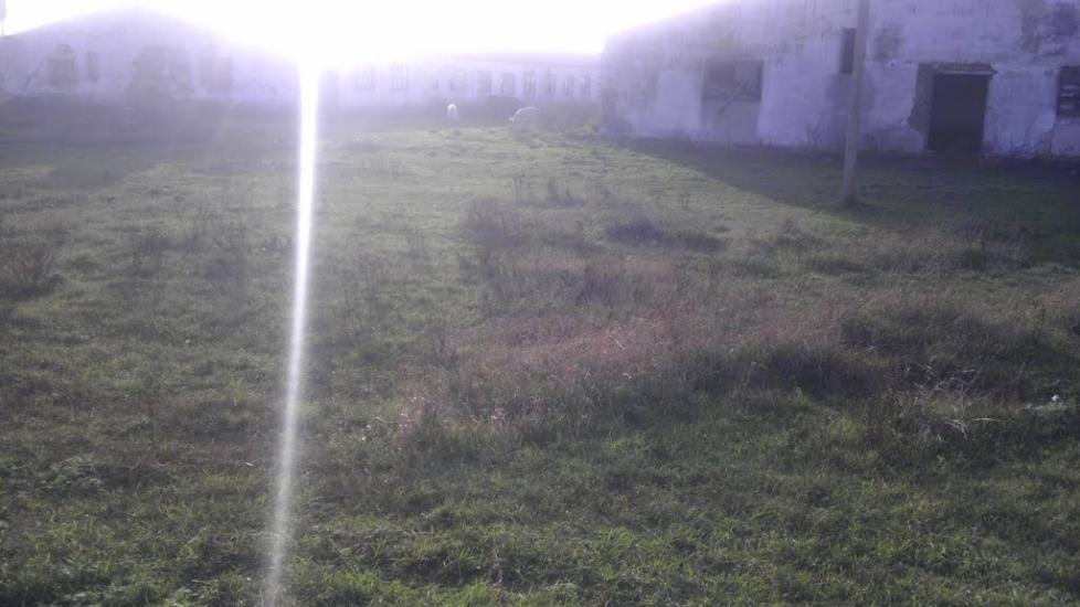 Полігон з panoramio.com - Полигон