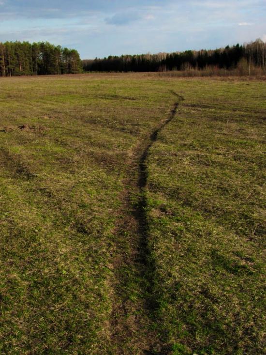 Нові Яриловичі з panoramio.com - Новые Ярыловичи