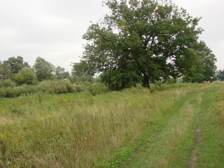 Зазим'я з panoramio.com - Зазимье