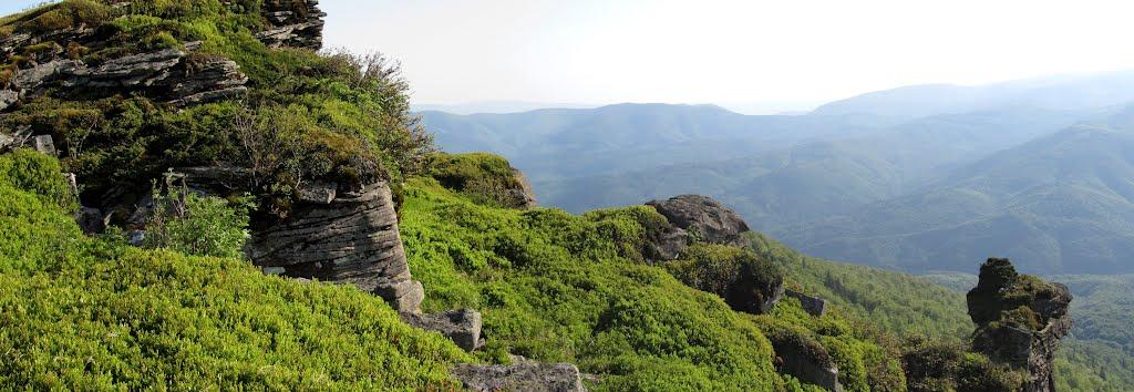 Либохора з panoramio.com - Либохора