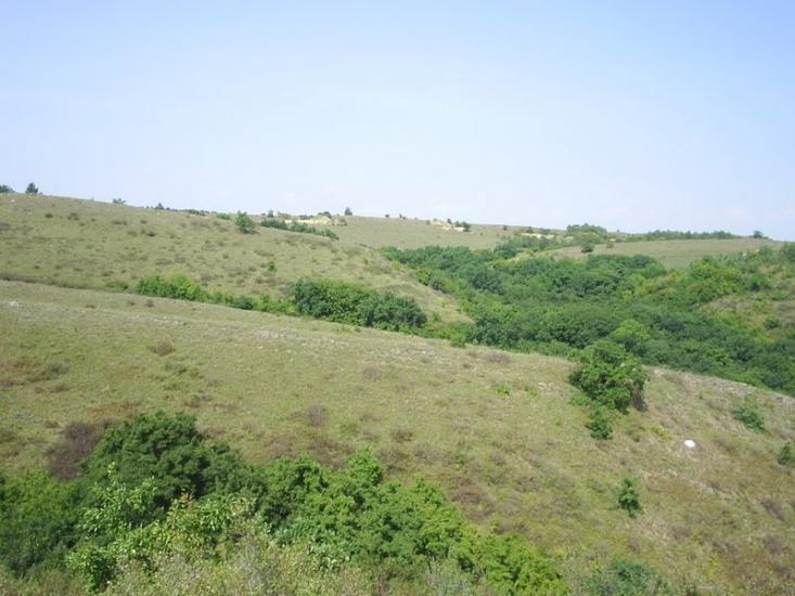 Вишневе з panoramio.com - Вишневе