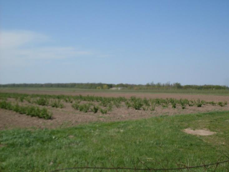 Карбівське з panoramio.com - Karbivske