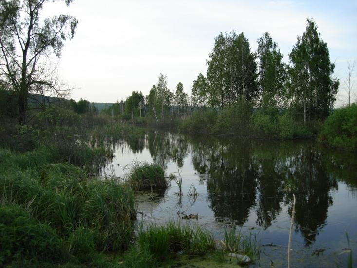 Старосілля з panoramio.com - Староселье