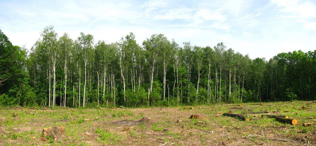 Циркуни з panoramio.com - Циркуни
