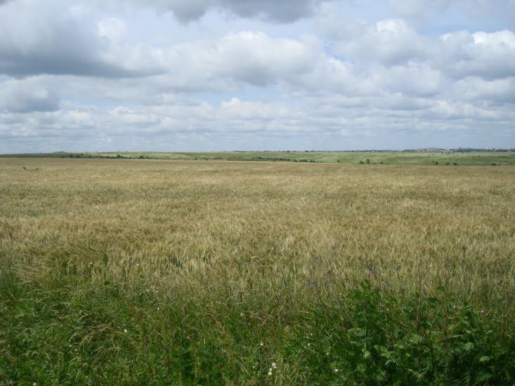 Копистин з panoramio.com - Kopystyn