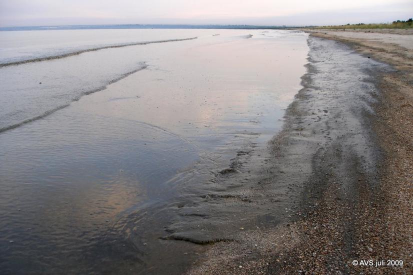 Сєдове з panoramio.com - Седово