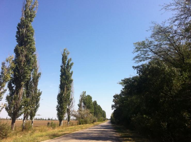 Садове з panoramio.com - Садове