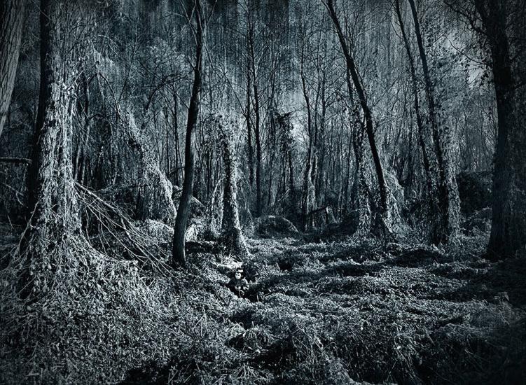 Мала Стариця з panoramio.com - Мала Стариця