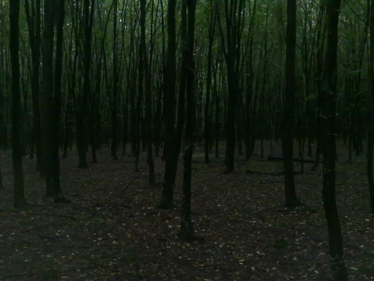 Білотин з panoramio.com - Білотин