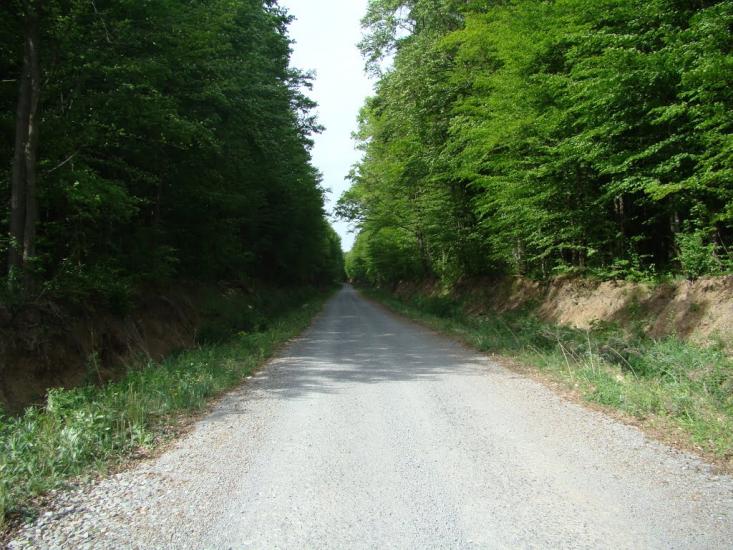 Іванківці з panoramio.com - Иванковцы