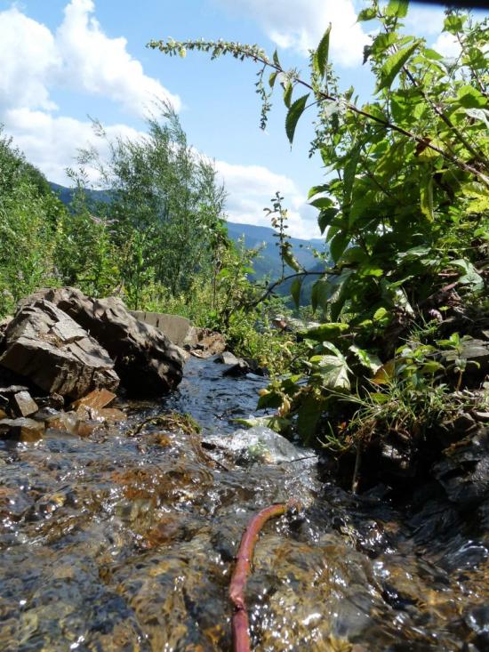 Усть-Чорна з panoramio.com - Усть-Чорна