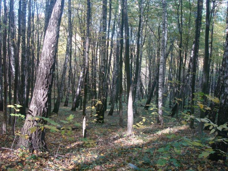 Красилів з panoramio.com - Красилів