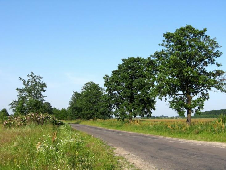 Сокиричі з panoramio.com - Сокиричі