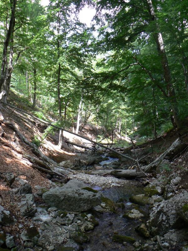 Підгородне з panoramio.com - Подгороднее