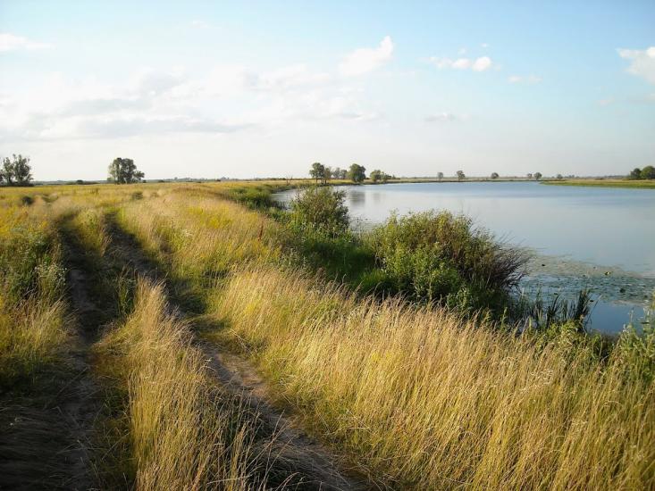 Нижча Дубечня з panoramio.com - Низшая Дубечня