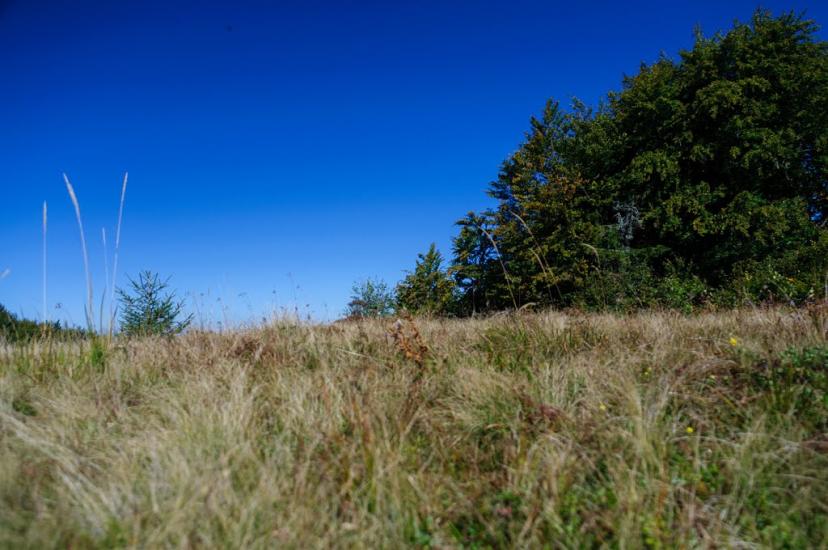 Гусний з panoramio.com - Гусний