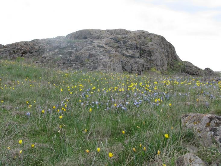 Українка з panoramio.com - Украинка